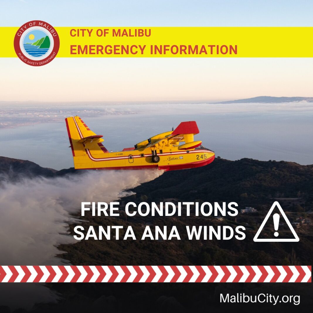 571152841_1228273875996867_3260599491549193792_n