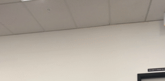 Elder-Well Santa Monica: A Lifeline For Families Navigating Memory Loss