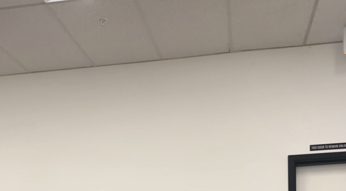 Elder-Well Santa Monica: A Lifeline For Families Navigating Memory Loss