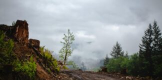 CLOSED-Topanga Canyon Boulevard At PCH/Grandview
