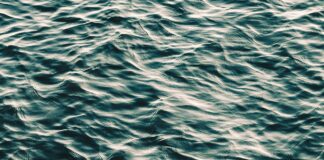 Luna Nozawa’s Reign Finally Ends On “Bold And Beautiful!”