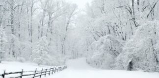 Prepare Your Home For A Winter Storm: A Guide