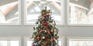 Tree Recycling Underway In West Hollywood