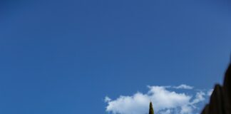 The Underground Treasures Of The Hills: The Neighborhoods Of The Canyon News Area Few Know