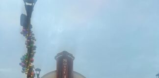 December Movies 2025!