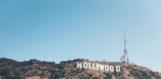 Gold Tree Studios Declares Bankruptcy
