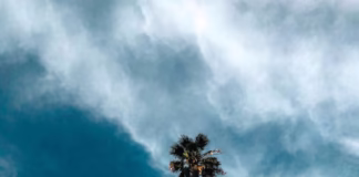 Santa Anna Winds and Rainstorm to Affect Los Angeles During New Year’s Week