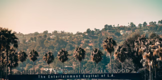 Teenager Killed In Collision On Santa Monica Freeway