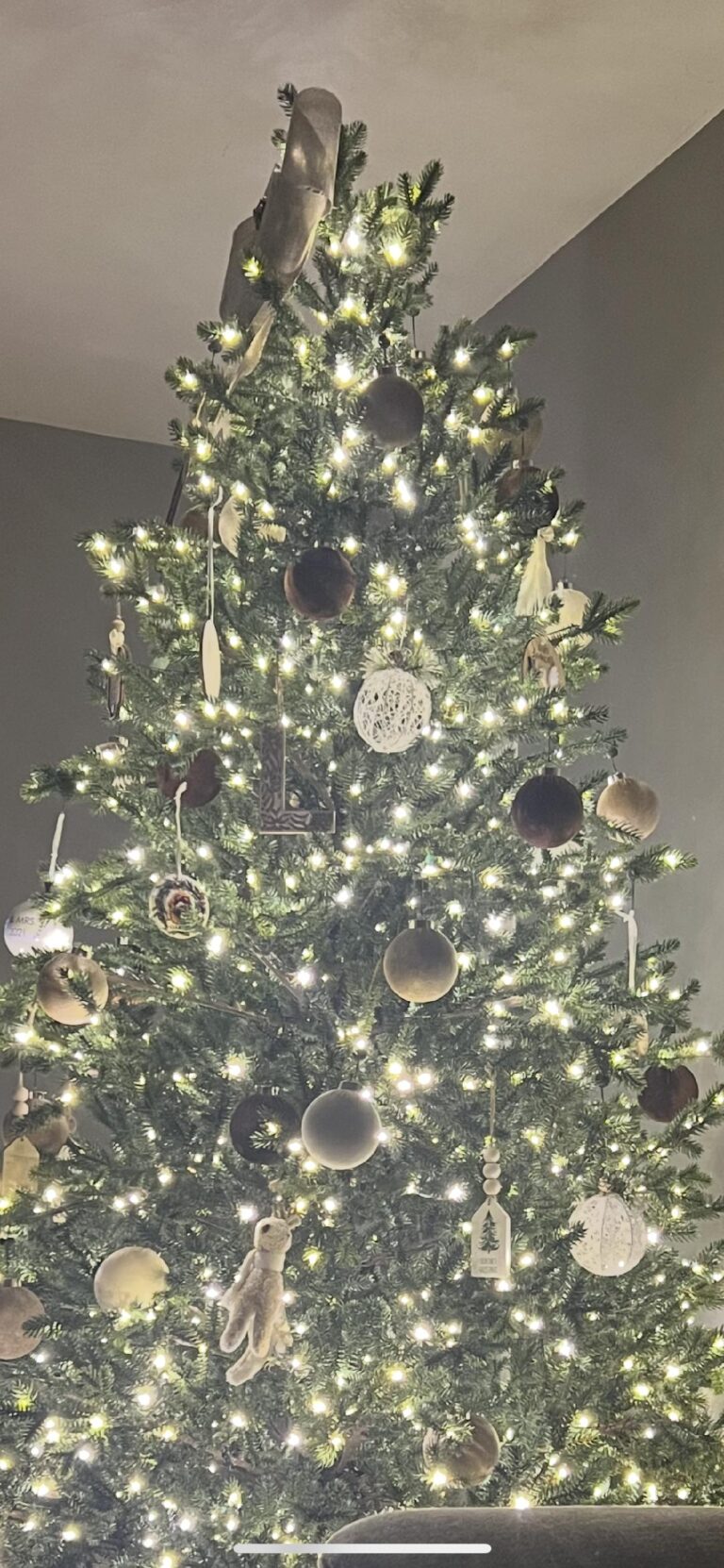 Christmas Trees And Celebrities!