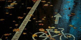 City Painting Bike Lanes Green