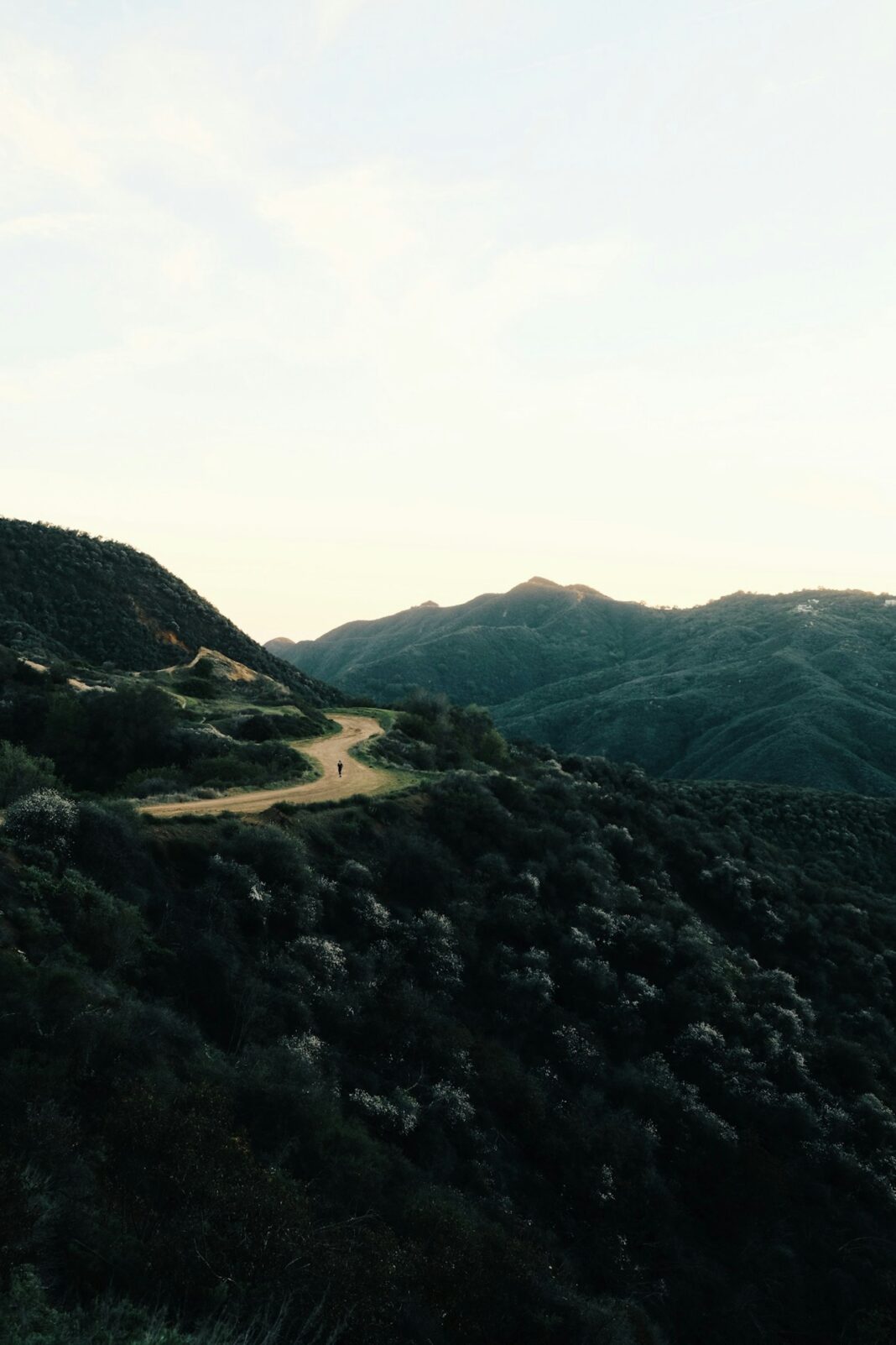 sam-mgrdichian-JiKuoNDZ29M-unsplash