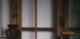 Presence Of Vermin Prompt Restaurant Closures