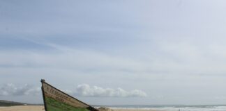 “Send Help” Is A Twisted, Satisfying Time