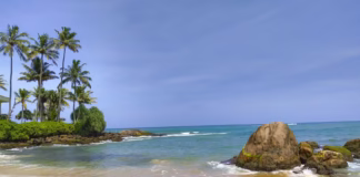 LA Coastline Considered To Become A National Park