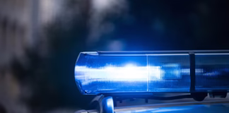 Freeway Chase Ends With Five Suspects Detained