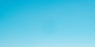 Pacific Palisades Fire Survivor Money Stolen By Hackers