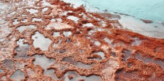 Bacteria Warnings For Santa Monica And Malibu Beaches