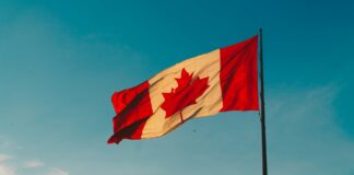 High Roller Leads The Pack In Canada’s Top 10 Online Casino Picks