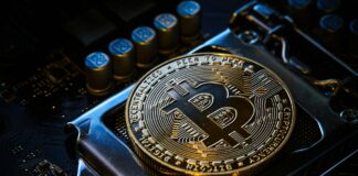 Bitcoin ETFs Strengthen Crypto’s Role In Institutional Portfolios