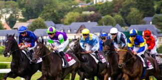 Planning Your First Trip To The Races This Spring