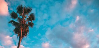 West Hollywood Alerts Residents To Exposure Of Access Codes