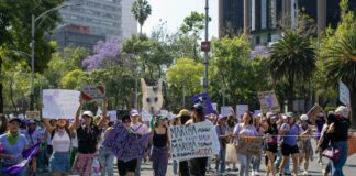 Councilmember Eunisses Hernandez Requests Security Detail