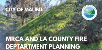 Pile Burn Planned For April 17 In Topanga Canyon