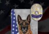 BHPD K-9 Tau Dies