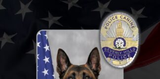 BHPD K-9 Tau Dies