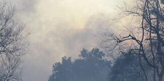 Scheduled Burn For Topanga Canyon-Postponed