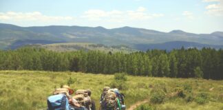 Hikers Rescued In Studio City, Hollywood Hills