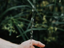 Poster Art Contest For Water Conservation In Beverly Hills