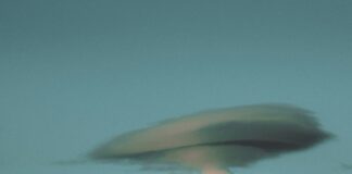 Author-YouTuber David Wilcock Dies Of Apparent Suicide