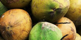 “Survivor 50” Recap: ‘Double The Fun, Double The Demise’