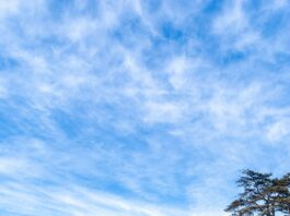 Community Forums Being Held For Upcoming Municipal Election