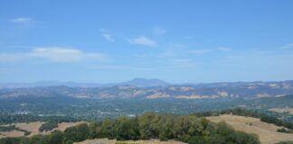 Rep. Omar-Husband’s Winery Shutsdown Amidst Fraud Allegations