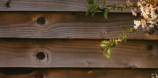 Compost Giveaway At City Yards April 25