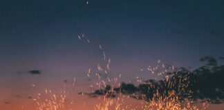 Scheduled Burn For Topanga Canyon-Postponed