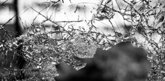 Aggravated Burglary In Hollywood Hills West
