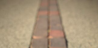 5 NFL Teams Drawing Attention in 2026/27 Win Total Markets