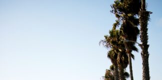 The Misfit Restaurant In Santa Monica Closes