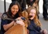UCLA PD Hosts Cupcakes With K9s Event