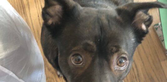 I Love Luna (39)