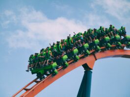 Am I Crazy For Loving Roller Coasters?