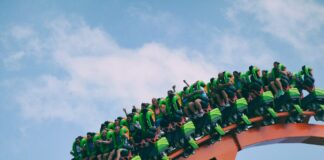 Am I Crazy For Loving Roller Coasters?