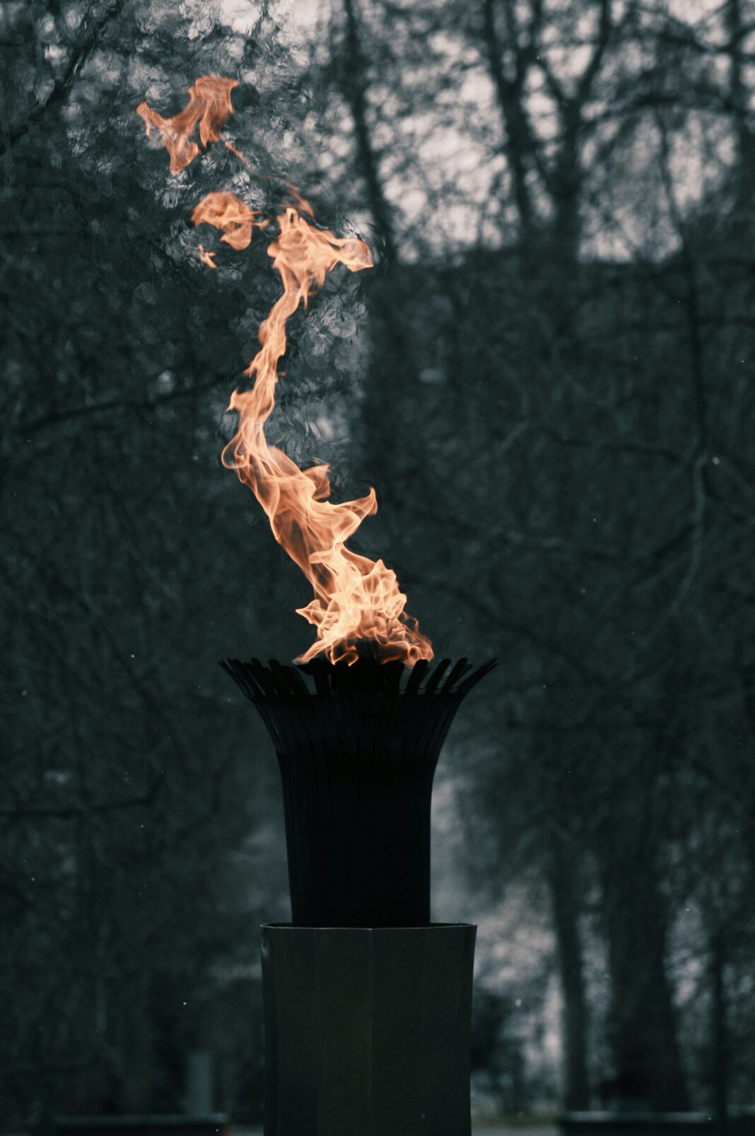 ezra-jeffrey-comeau-Aki8Utz94AM-unsplash