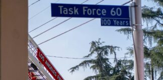 Brush Fire In Hollywood Hills Stopped