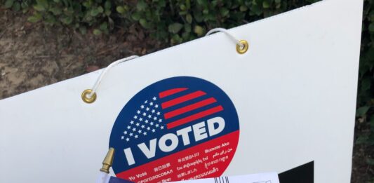 California Woman Faces Charges For Election Fraud