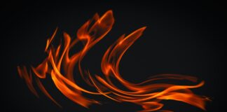Brush Fire Extinguished In Hollywood Hills