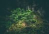 Malibu Looking To Hire Environmental Health Administrator